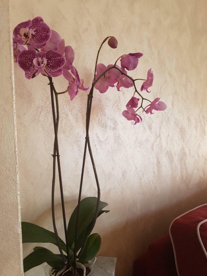 Casa Vacanza Nonna Dora Матера Екстер'єр фото